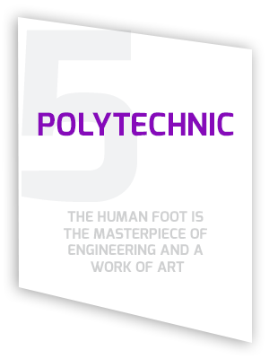 Polytechnic